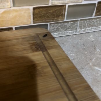 All County Boulder Property Management - Mouse poop - Property Management Near Me - Niwot, Colorado All County Boulder Property Management - Mouse poop - Property Management Near Me - Niwot, Colorado