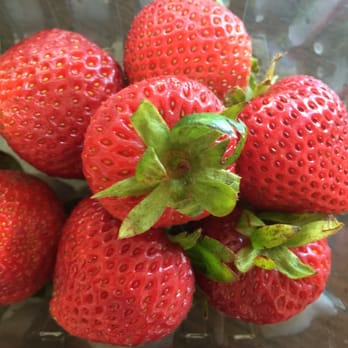 Driscoll’s - Fruits & Veggies Near Me - Watsonville, California