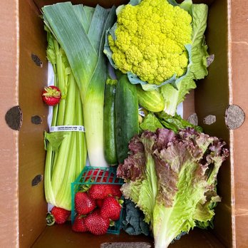 Tomatero Organic Farm - Farm box - Fruits & Veggies Near Me Tomatero Organic Farm - Farm box - Fruits & Veggies Near Me