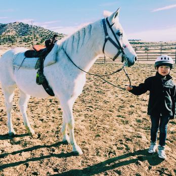 Horizon Arabians - Loving Lenita - Horseback Riding Near Me - Reno, Nevada
