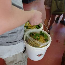 Patrick's Berry Farm