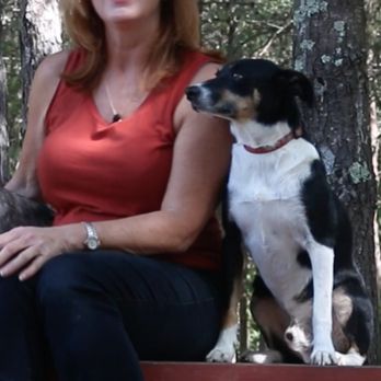 Angel Dog - Pet Training Near Me Angel Dog - Pet Training Near Me