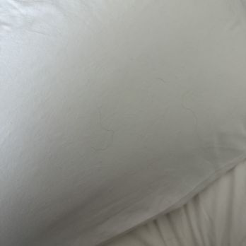 Hotel Dega - Hairy sheets - Hotels Near Me - Bodega Bay, California Hotel Dega - Hairy sheets - Hotels Near Me - Bodega Bay, California