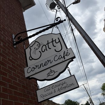 Catty Corner Cafe - Pet Adoption Near Me - Leesburg, Virginia