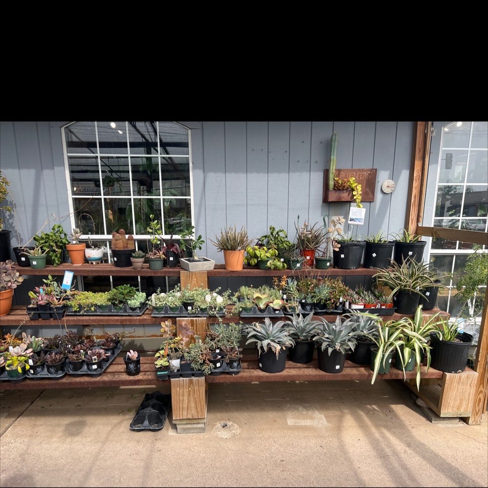 Redenta's Garden - Nurseries & Gardening Near Me - Dallas, Texas Redenta's Garden - Nurseries & Gardening Near Me - Dallas, Texas