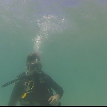 Try Scuba Diving - Honolulu - Scuba Austin! - Scuba Diving Near Me - Honolulu, Hawaii Try Scuba Diving - Honolulu - Scuba Austin! - Scuba Diving Near Me - Honolulu, Hawaii