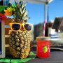 Photo of Wow Wow Hawaiian Lemonade