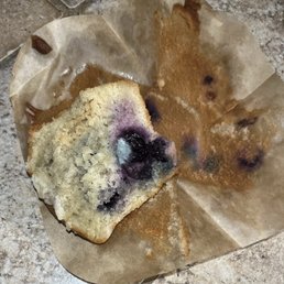 Moldy muffin Moldy muffin
