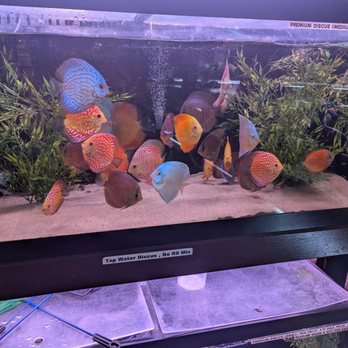 360 Aquatic - Local Fish Stores Near Me - Houston, Texas