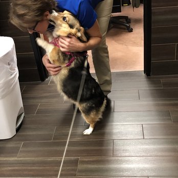 PetSmart - Pet Stores Near Me - Encinitas, California