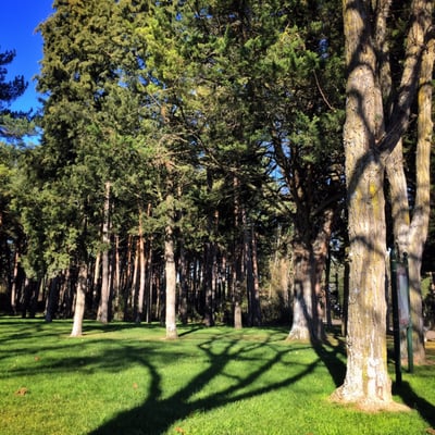 Cartuja de Miraflores by null