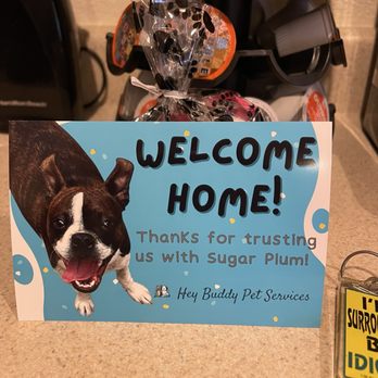 Hey Buddy Pet Services - Pet Sitting Near Me Hey Buddy Pet Services - Pet Sitting Near Me