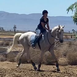 Sweetwater Ranch & Carriage Company