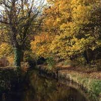 The Splash - Pubs Near Me - Louth, LIN