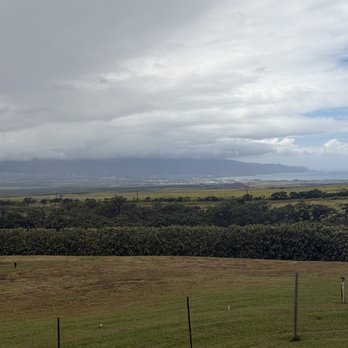 Ocean Organic Farm and Distillery - Views - Cafes Near Me - Kula, Hawaii Ocean Organic Farm and Distillery - Views - Cafes Near Me - Kula, Hawaii