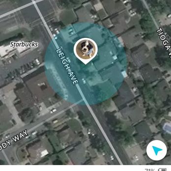 Dog-e-Sit & Fetch - Dog Walkers Near Me - San Jose, California Dog-e-Sit & Fetch - Dog Walkers Near Me - San Jose, California
