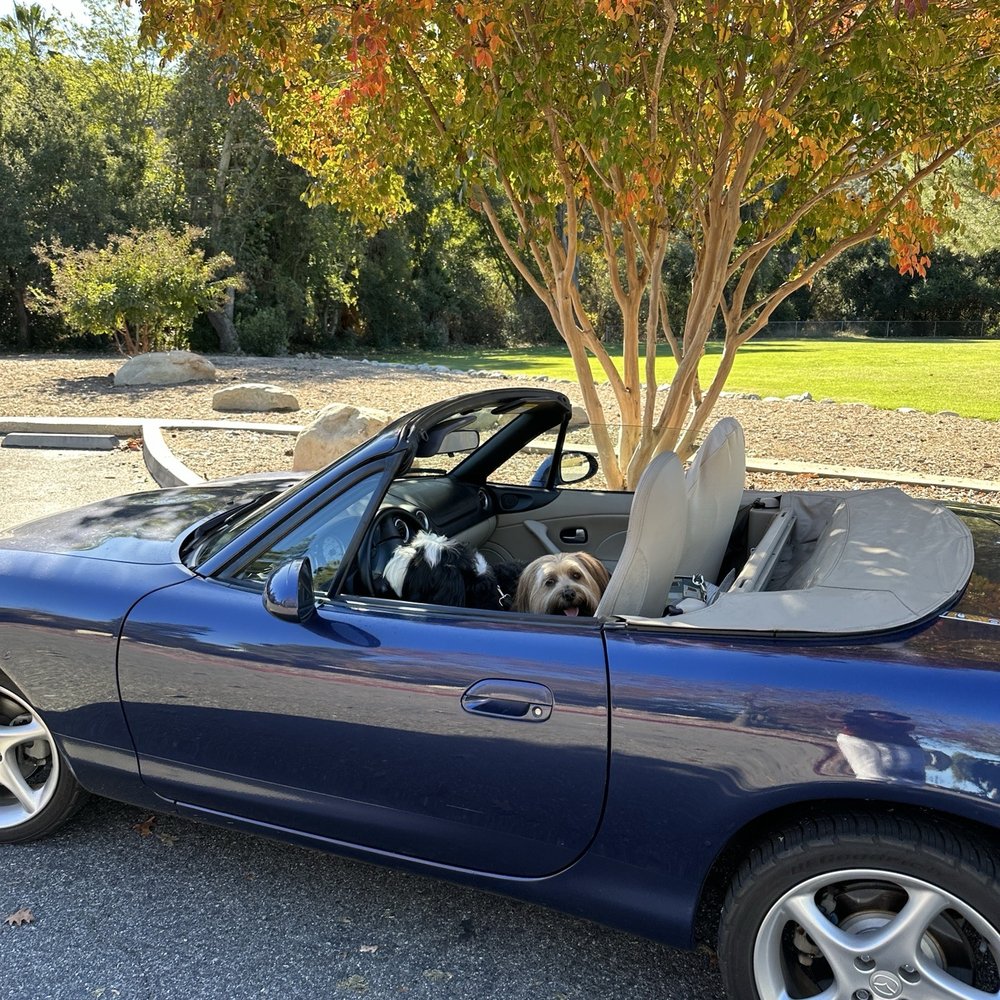 Miata Miata