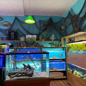 Pet's General Store - Part of the aquarium room - Pet Stores Near Me - Lakewood, Ohio