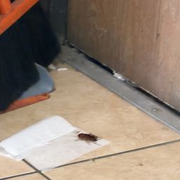 It's been so dirty and lots of roaches everywhere It's been so dirty and lots of roaches everywhere