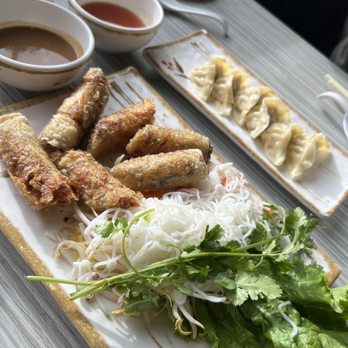 Pho 92 Dia - Vietnamese egg rolls with chicken dumplings - so good - Vietnamese Near Me - Denver, Colorado Pho 92 Dia - Vietnamese egg rolls with chicken dumplings - so good - Vietnamese Near Me - Denver, Colorado