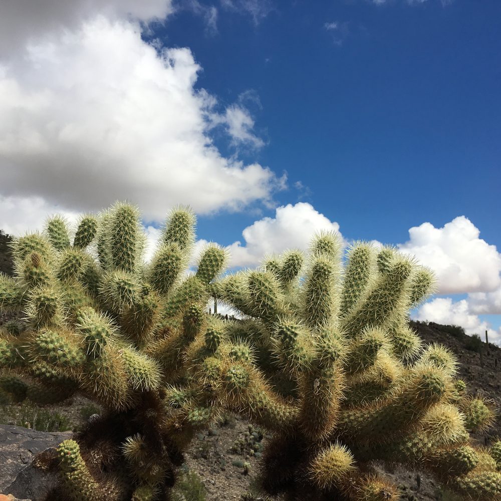 Casa Grande Mountain Park - Hiking Near Me - Casa Grande, Arizona