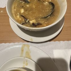 Hunan Village Restaurant - Hot and Hot & Sour Soup / 酸辣湯