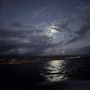 Photo of Kona Coast Boat Tours