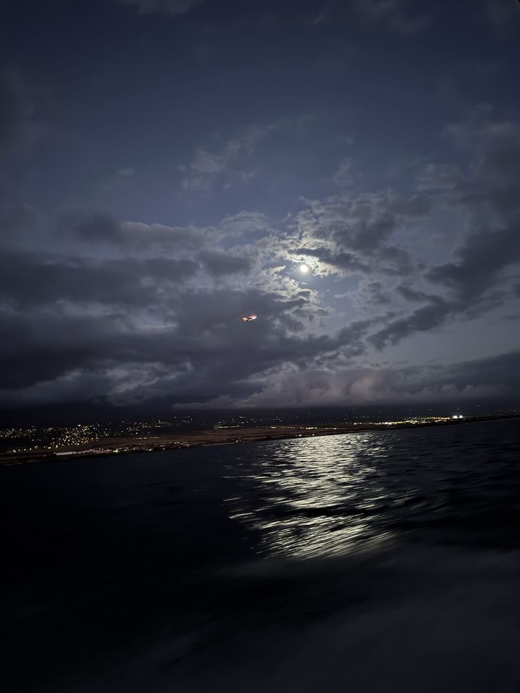 Kona Coast Boat Tours Logo