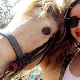 Selfie with this horse Selfie with this horse