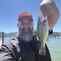 Clearlake Bait & Tackle - Satisfying