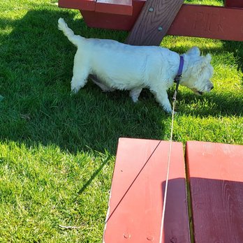 Pick-Quick Drive In - Dog friendly. - Burgers Near Me - Fife, Washington Pick-Quick Drive In - Dog friendly. - Burgers Near Me - Fife, Washington