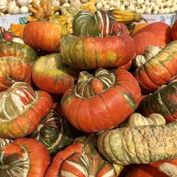 Lil Brian's Produce Market - Decorative gourds