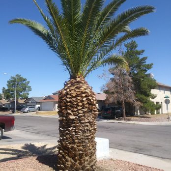 Ruben's Lawn Service - After - Landscaping Near Me - Las Vegas, Nevada Ruben's Lawn Service - After - Landscaping Near Me - Las Vegas, Nevada