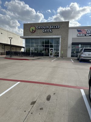 Chicken Salad Chick by null