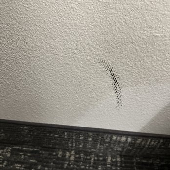 DoubleTree by Hilton Hotel Memphis Downtown - room 801 dirty walls - Hotels Near Me - Memphis, Tennessee DoubleTree by Hilton Hotel Memphis Downtown - room 801 dirty walls - Hotels Near Me - Memphis, Tennessee