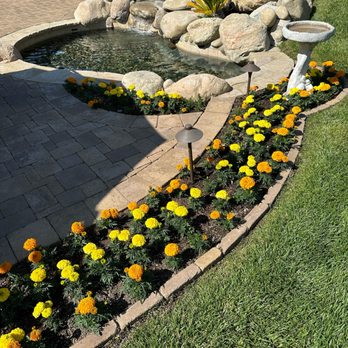 Al’s Tree Service & Landscapes - yellow and orange flowers - Tree Services Near Me Al’s Tree Service & Landscapes - yellow and orange flowers - Tree Services Near Me