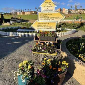 The Flower Fields - map - Venues & Event Spaces Near Me - Carlsbad, California The Flower Fields - map - Venues & Event Spaces Near Me - Carlsbad, California