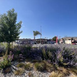 Garden Farms Market
