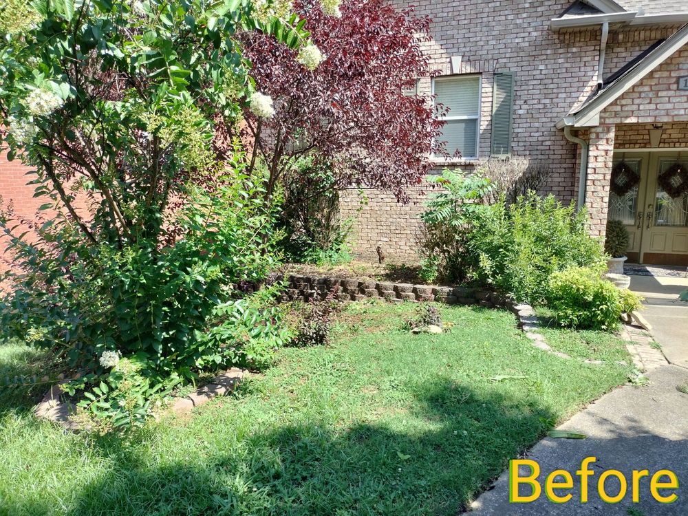 Slide of LevelUp Solutions