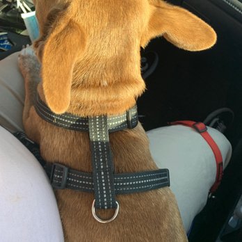 PetSmart - Pet Stores Near Me - Manteca, California