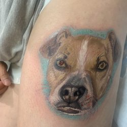 Apothecary Tattoo