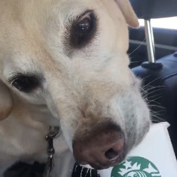 Starbucks - Coffee & Tea Near Me - Portland, Texas Starbucks - Coffee & Tea Near Me - Portland, Texas