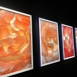 Fotografiska Stockholm
