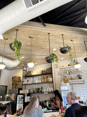 Tribal All Day Cafe by null