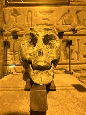 UFO Experience by null