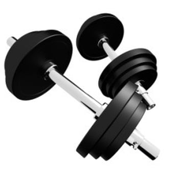 Los Campeones - Gyms Near Me - Minneapolis, Minnesota Los Campeones - Gyms Near Me - Minneapolis, Minnesota