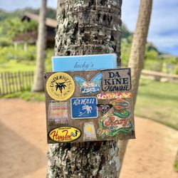 Lucky's - Menus located on palm tree
