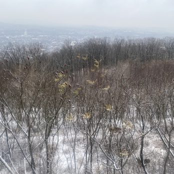 Pagoda-Skyline - Landmarks & Historical Buildings Near Me - Reading, Pennsylvania