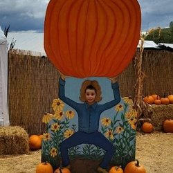 The Haunted Pumpkin Patch