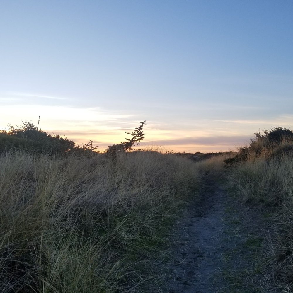 Ireland's Rustic Lodges - Beach access trail - Hotels Near Me - Gold Beach, Oregon